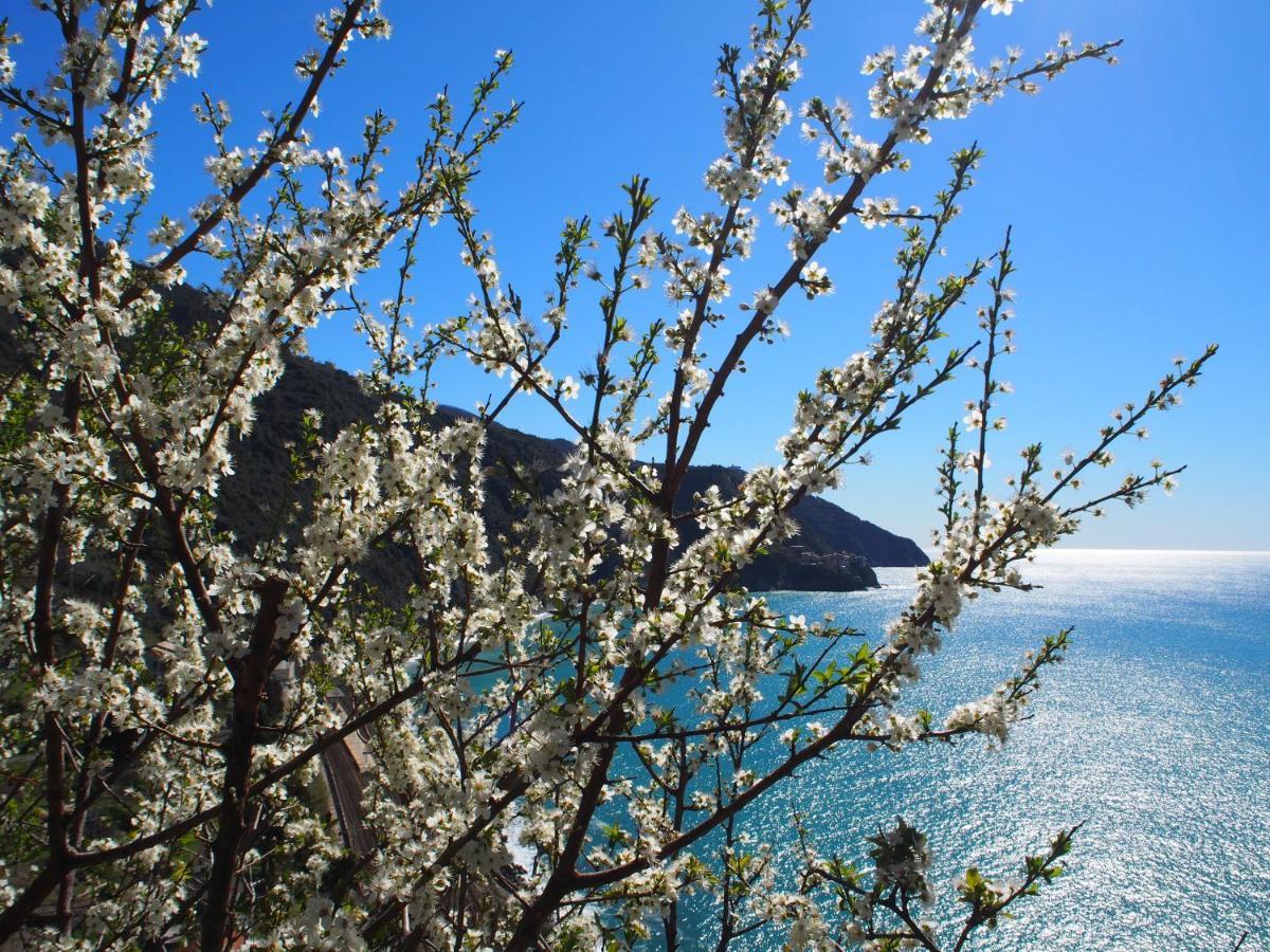 Appartamento Celeste *